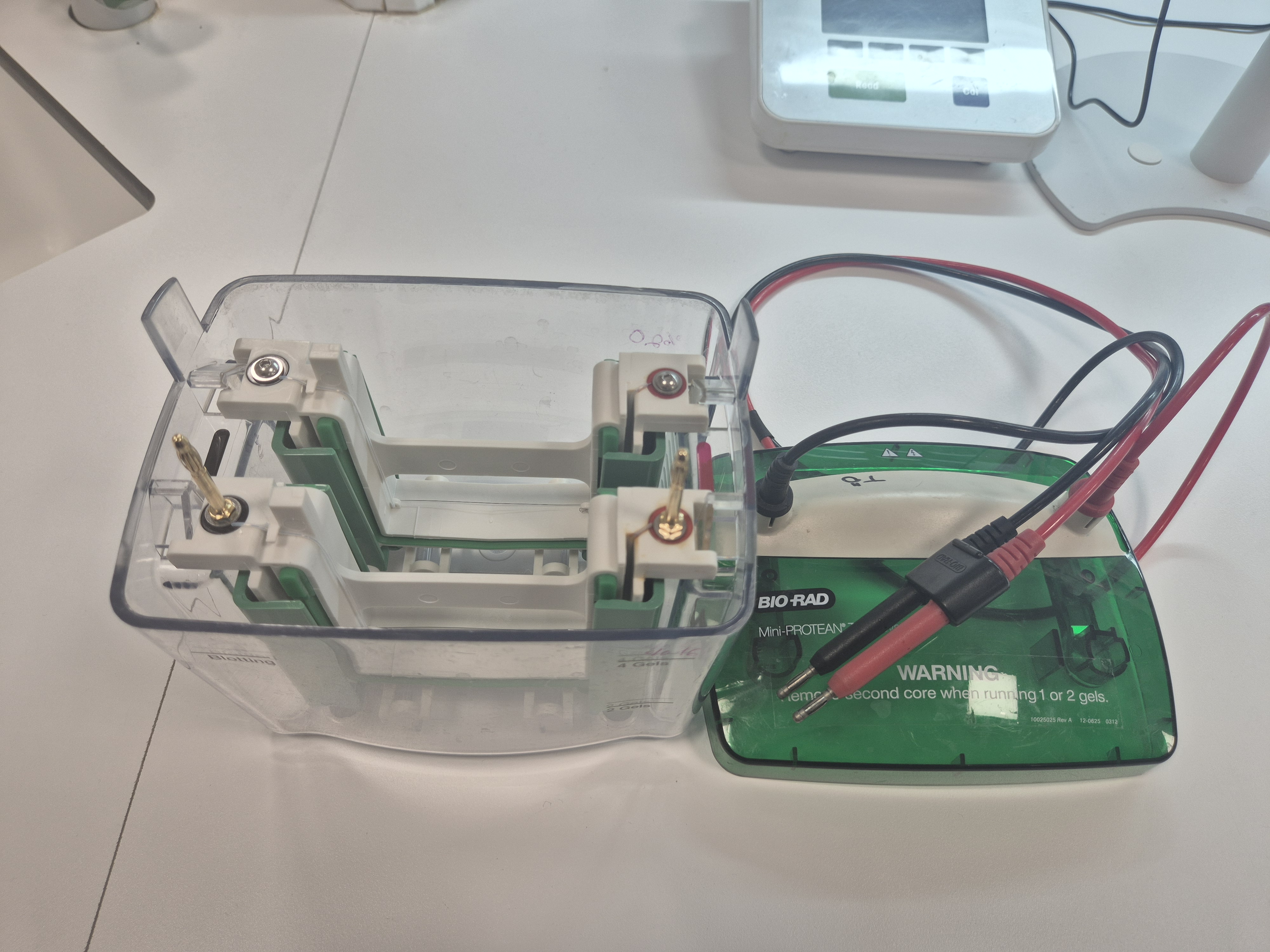 Dikey Elekroforez Sitemi-Fotoğraf